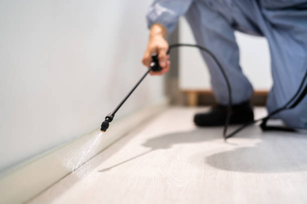 Licensed Fumigation Services service in Kaibito, AZ - Nex Pest Control